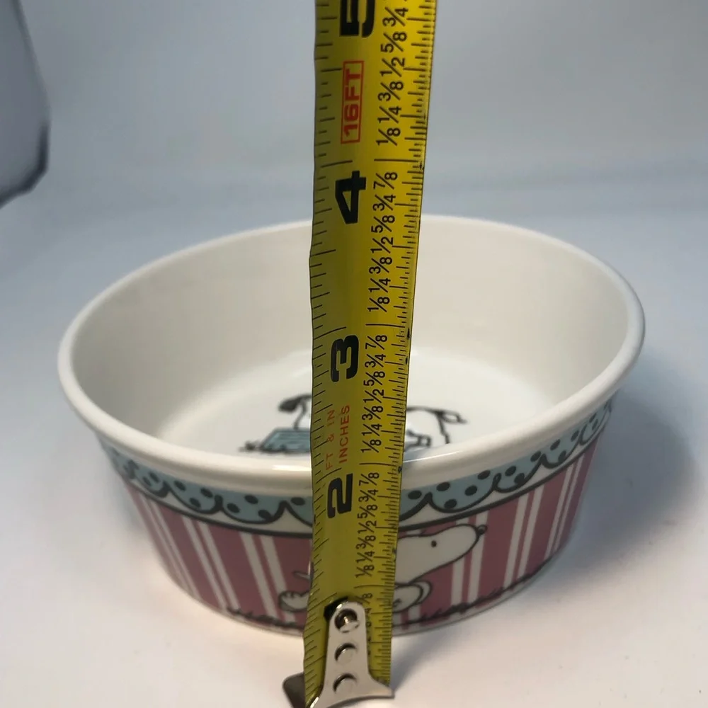 Snoopy Ceramic Bowl with Pink Stripes beautiful colors